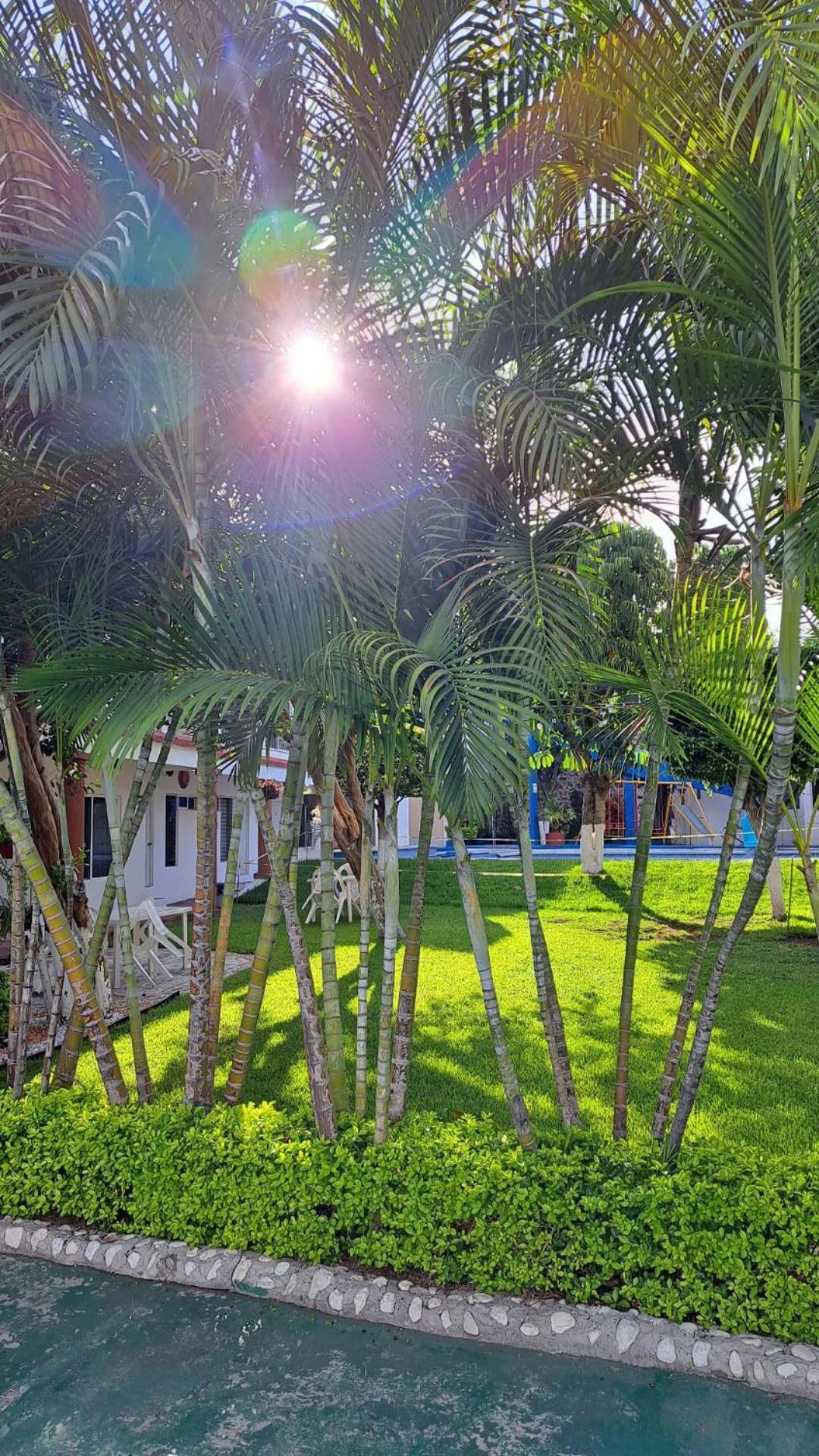 Hotel Quinta Paraiso ココヨック エクステリア 写真