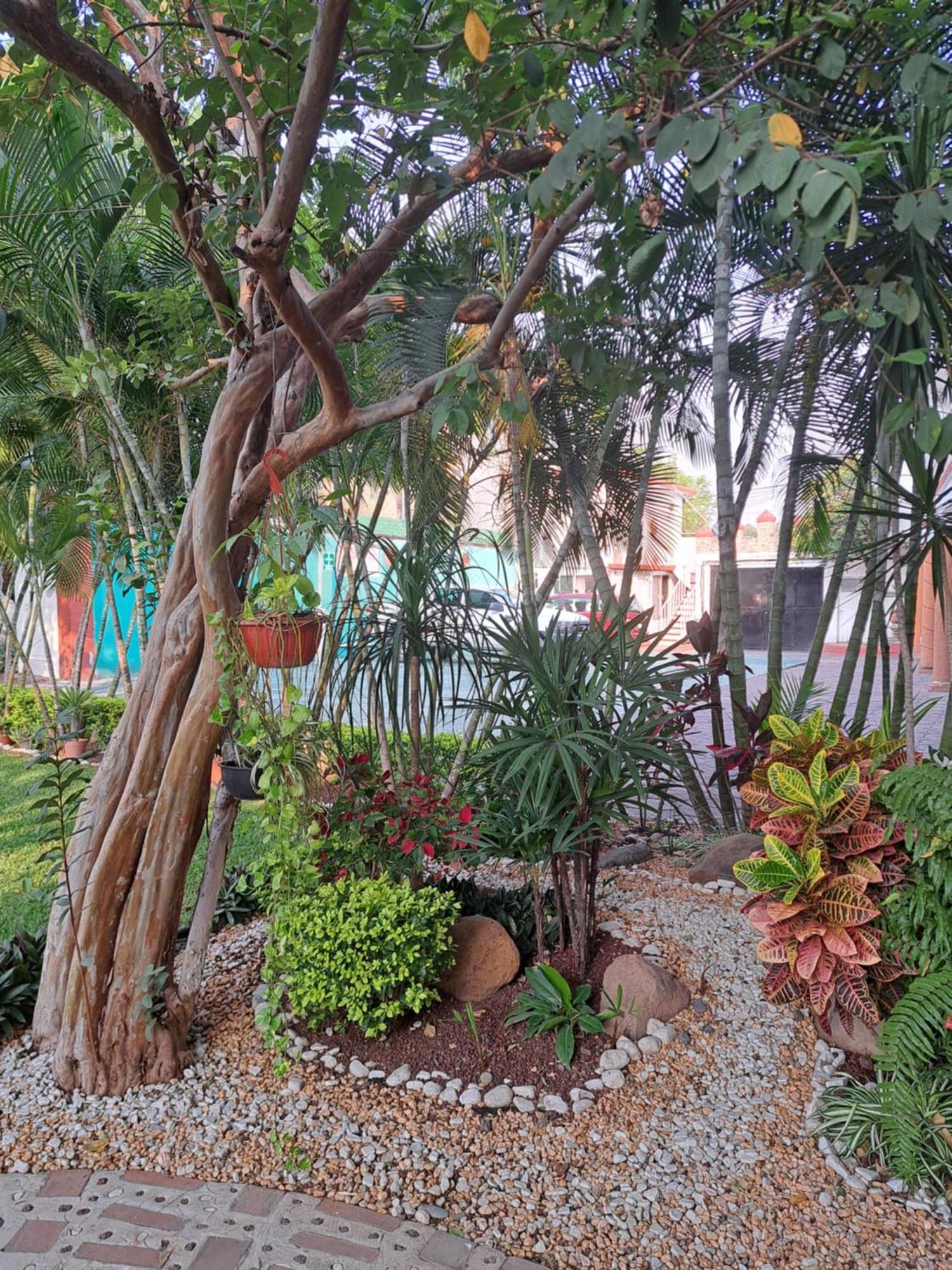 Hotel Quinta Paraiso ココヨック エクステリア 写真