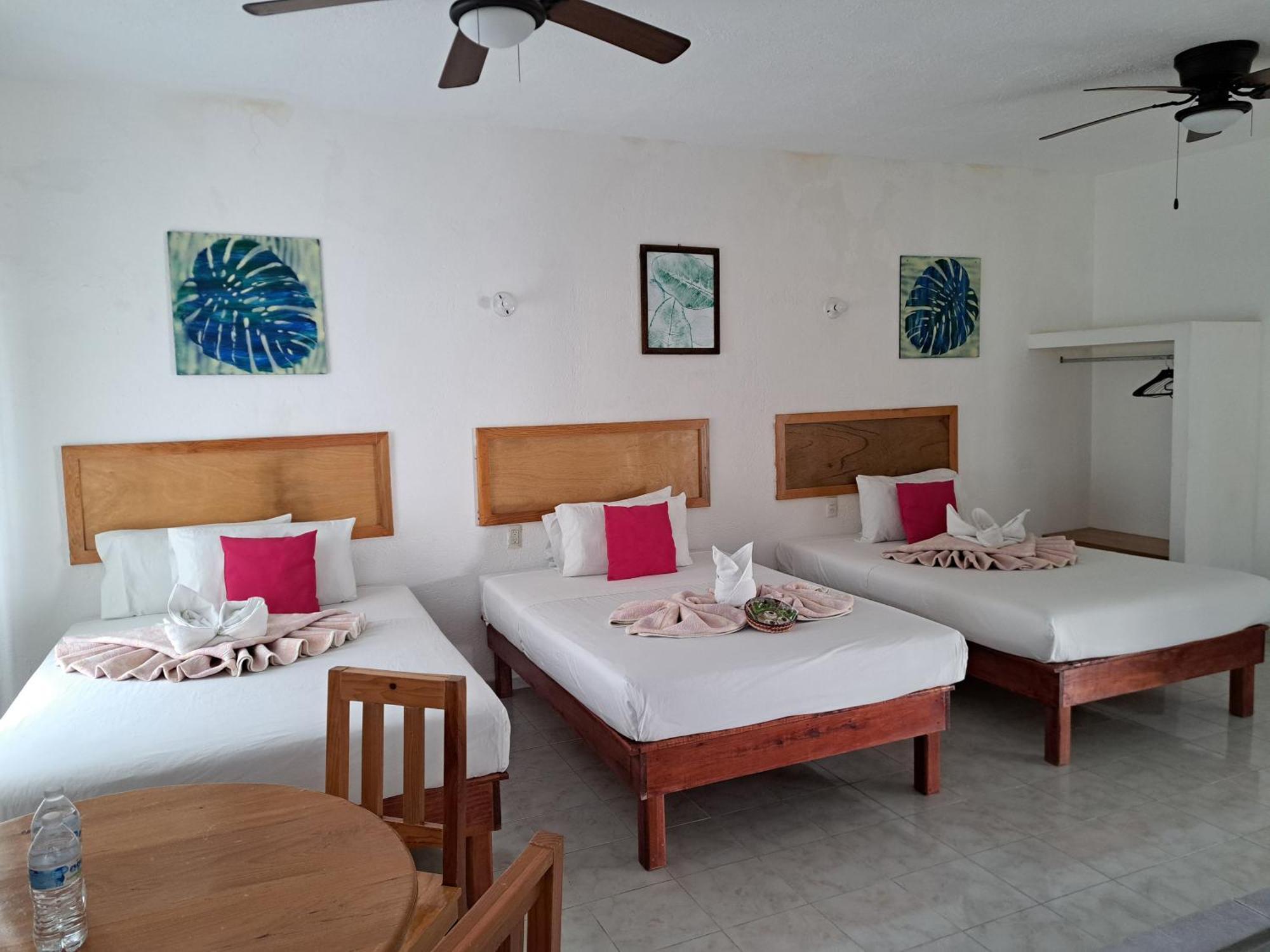Hotel Quinta Paraiso ココヨック エクステリア 写真